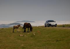Exterieur_audi-a6-sportback-e-tron-performance-la-version-de-l-electrique-a-hayon_12